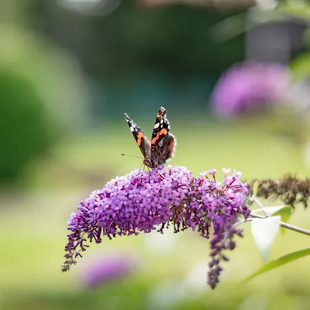Kaiserblick ホテル エルマウ