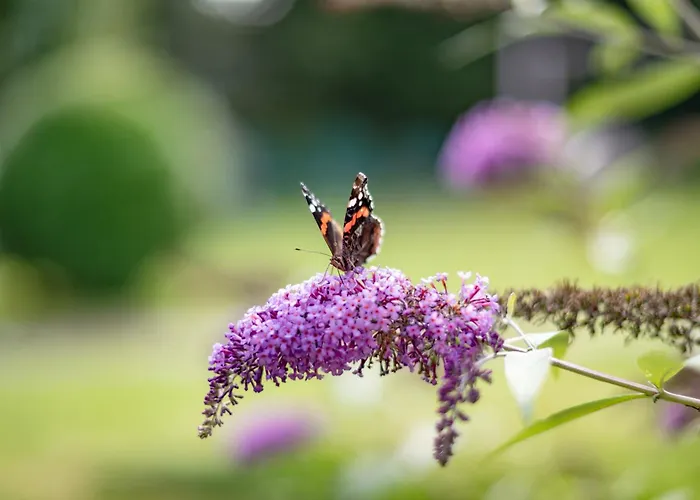 Kaiserblick Hotel Ellmau